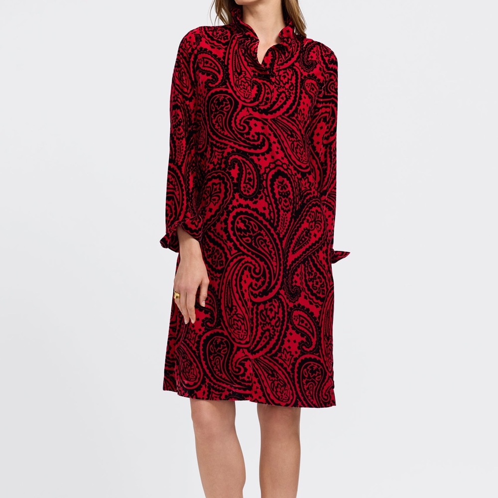 Tammy Velvet Paisley Long Sleeve Dress